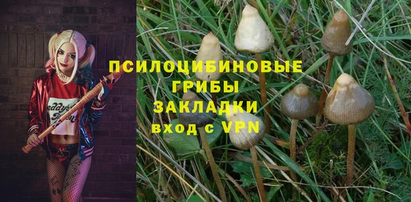 а пвп мука Лиски