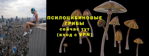 mdpv Лагань
