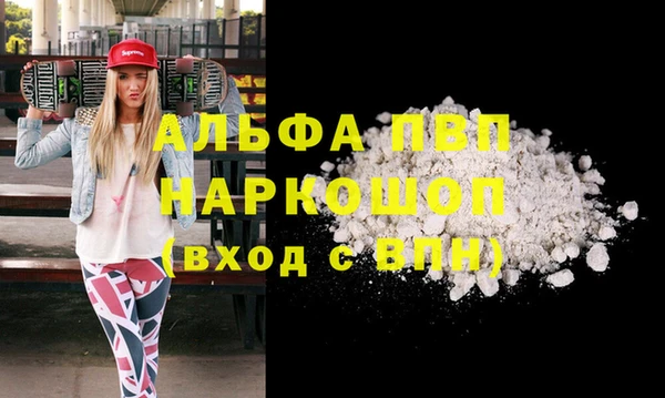 прущий лед Ладушкин
