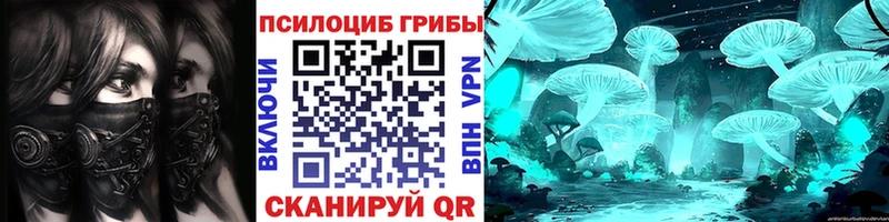 MEGA зеркало  Ладушкин  Галлюциногенные грибы мицелий 